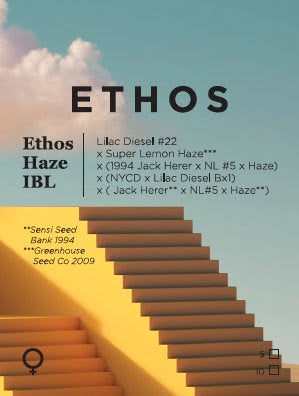Ethos Haze IBL